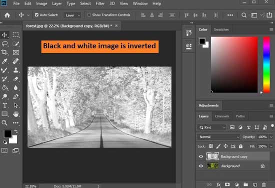 How to Invert Colors in Illustrator (on Vectors and Images) - imagy